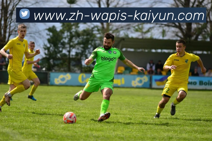 开云体育平台生态图